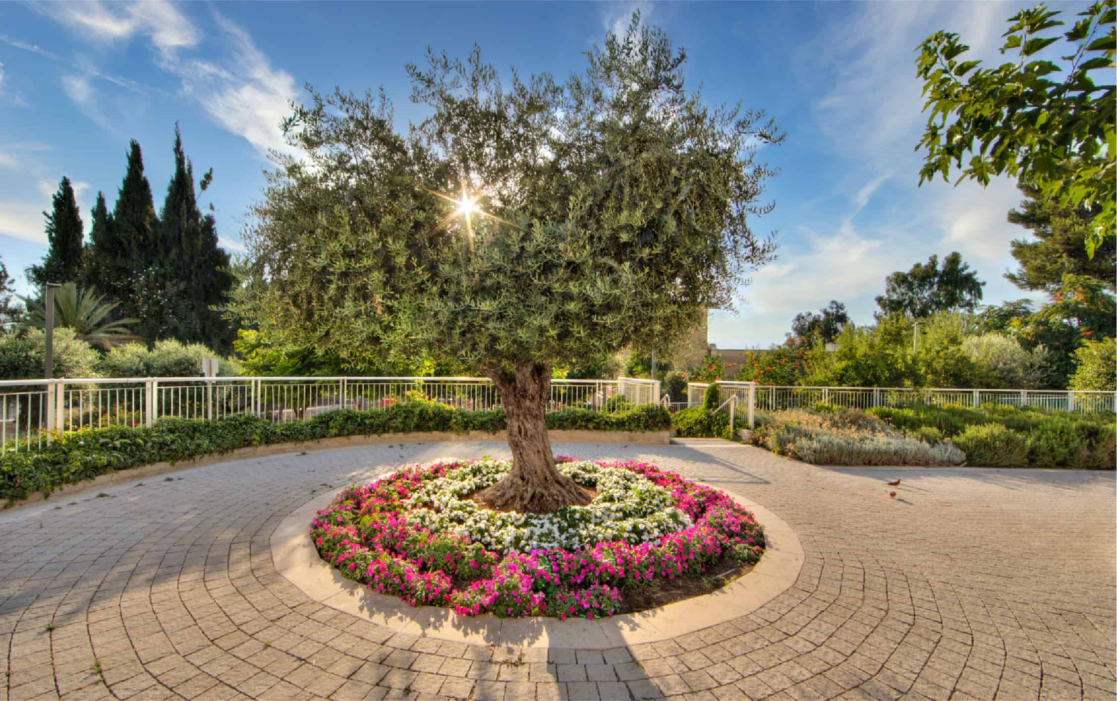 mortgage rates in israel